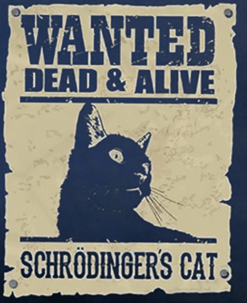 Wanted Dead and Alive: Schrödinger's Cat