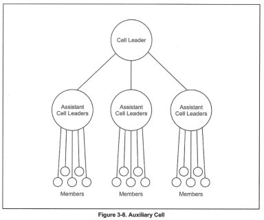 Auxiliary Cell Organization