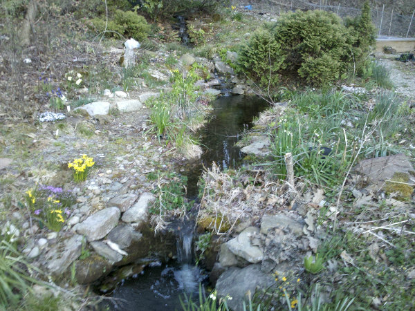 Lower falls from Rosyside Pool to inlet of main pond.