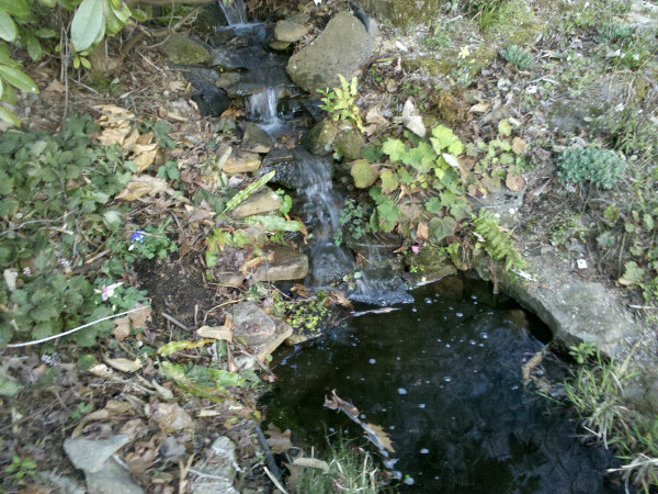 Upper pool and falls.