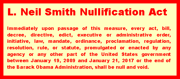 Nullification Act