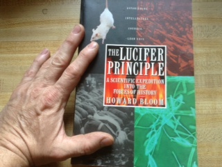 The Lucifer Principle book