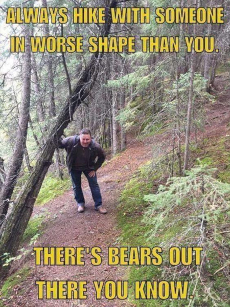 Watch Out for the Bears!