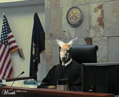 Kangaroo Court