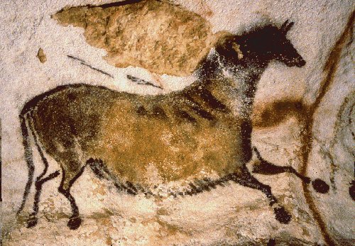 a Lascaux caves painting