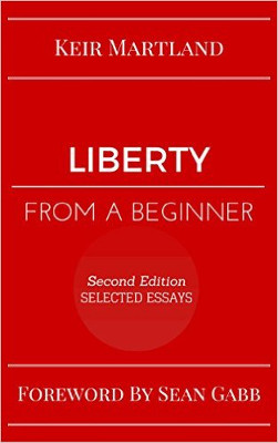 Liberty from a Beginner cover