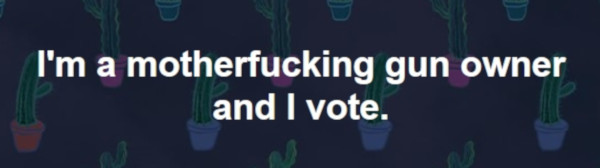 I'm a motherfucking gun owner and i vote.