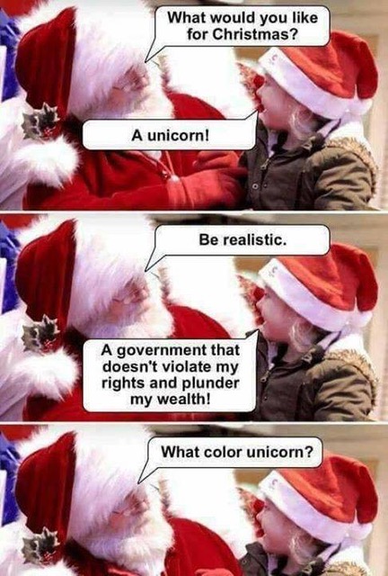 A Unicorn for Christmas! Okay!