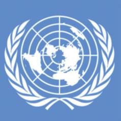 UN Logo